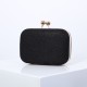 Shiny Box Evening Bag